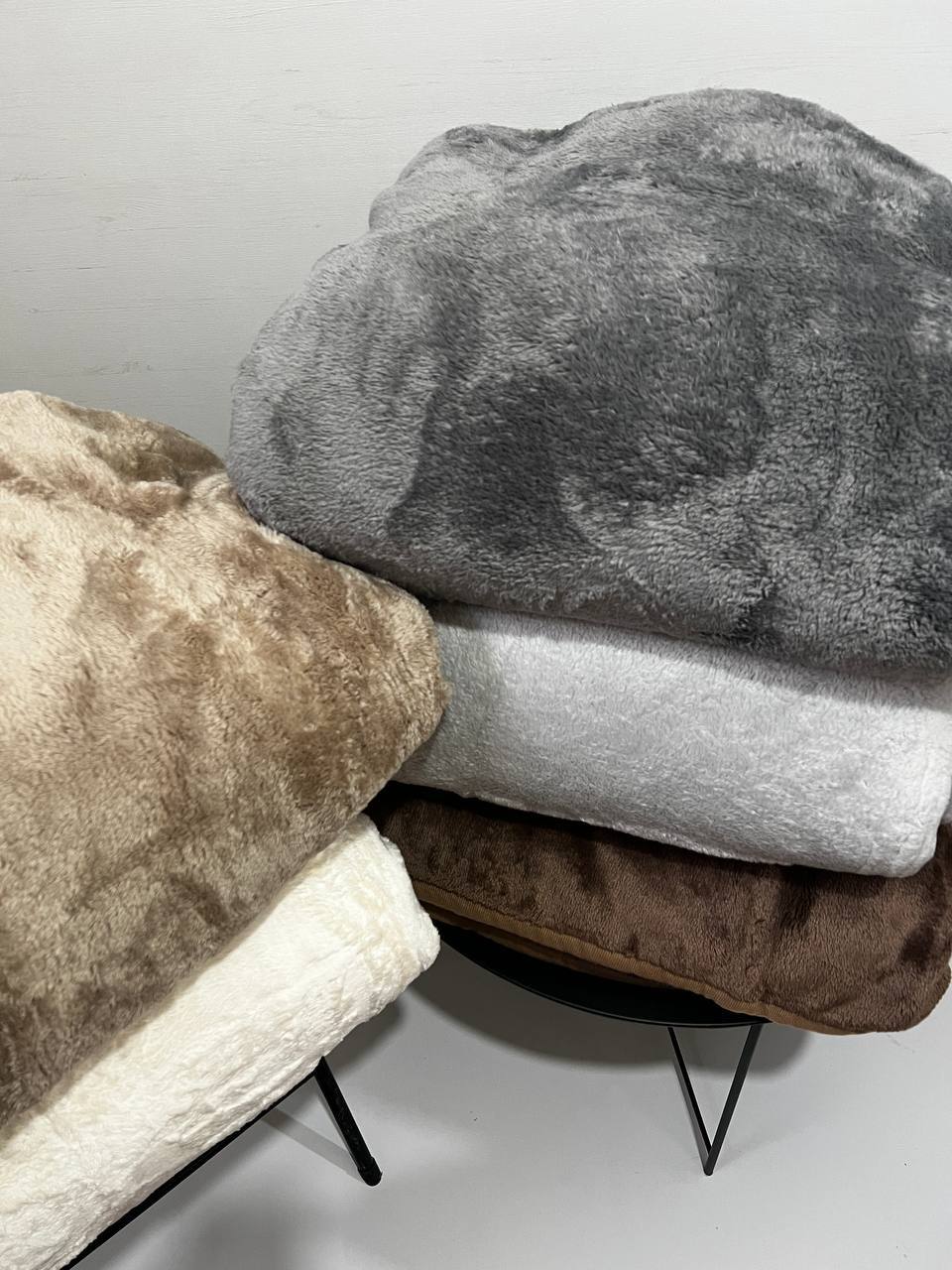 photo_2023-01-12_15-22-10