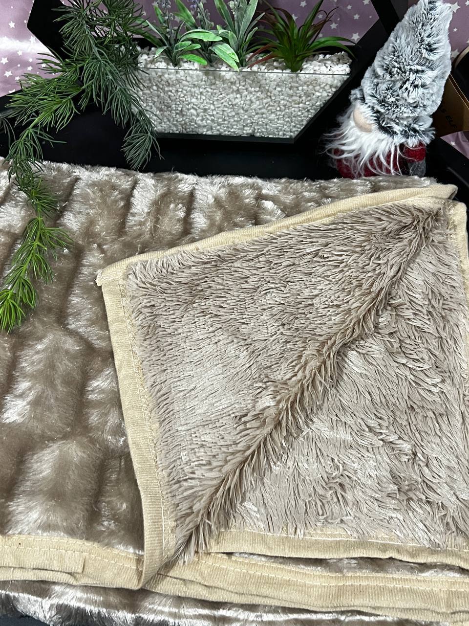 photo_2023-01-29_20-14-05