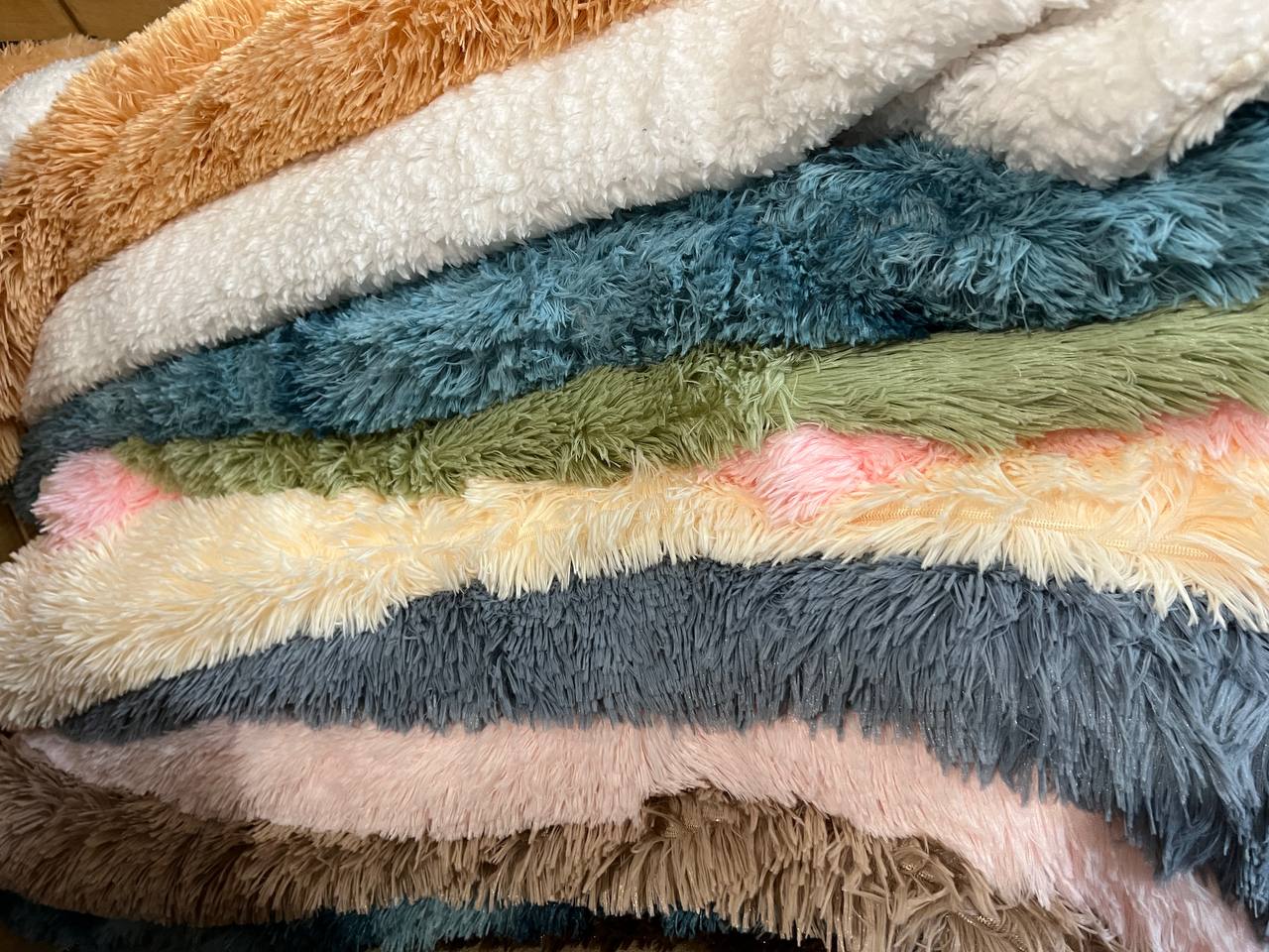 photo_2023-02-19_09-30-10