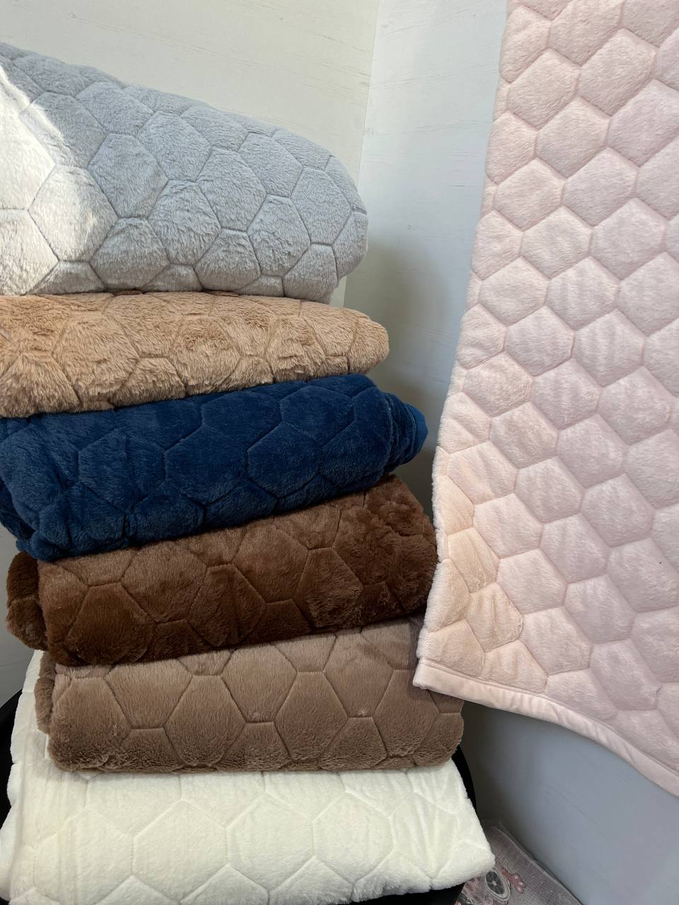 pled-shinshila-210-230